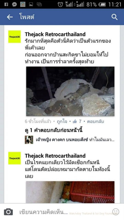 เจ้าของบ้านเช่างัดห้องปล่อยหมาขย้ำแมวตาย