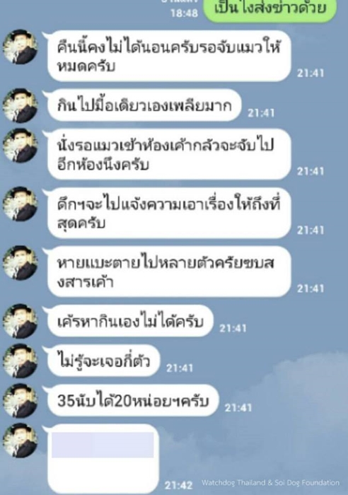 เจ้าของบ้านเช่างัดห้องปล่อยหมาขย้ำแมวตาย