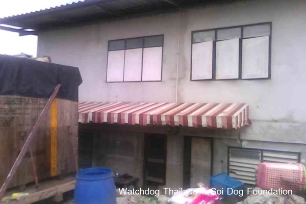 เจ้าของบ้านเช่างัดห้องปล่อยหมาขย้ำแมวตาย