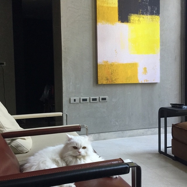 บ้านไก่ สมพล