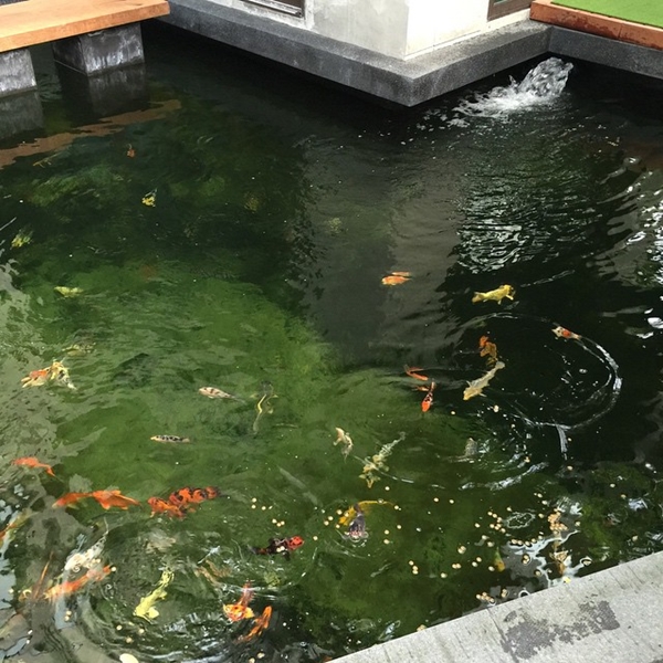 บ้านไก่ สมพล