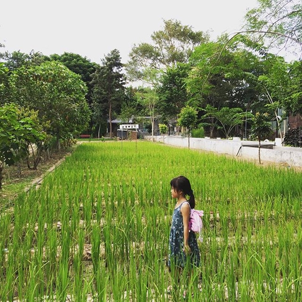 น้องนกยูง ลูกสาวเสนาลิง