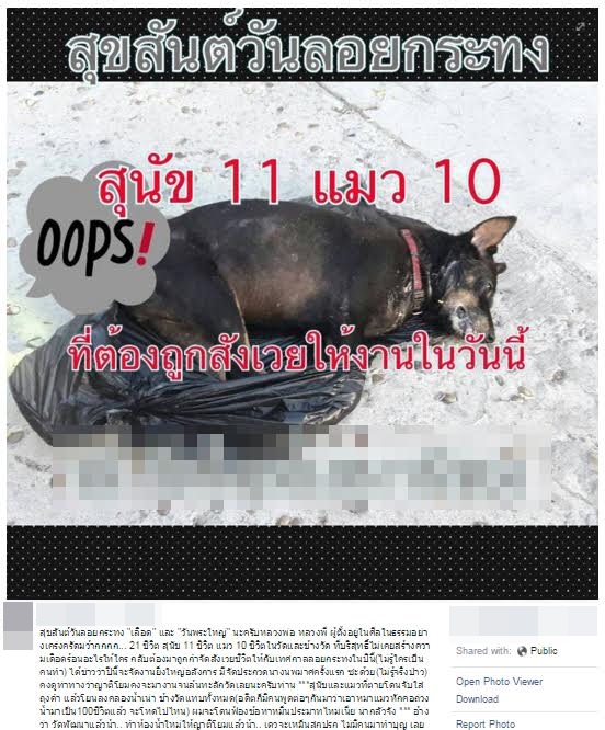 แชร์ว่อน หมา-แมวถูกจับยัดถุงดำโยนลงคลองข้างวัด