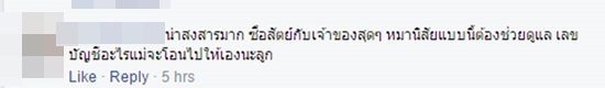 ไปกันใหญ่ !! แชร์เพียบหมาน่าสงสารถูกไฟลวกตาบอด ที่แท้แค่แฮมปิดหน้า
