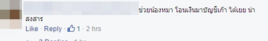 ไปกันใหญ่ !! แชร์เพียบหมาน่าสงสารถูกไฟลวกตาบอด ที่แท้แค่แฮมปิดหน้า