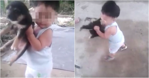 อึ้ง ! เด็กวัยซน ขยุ้ม-ถีบ-โยนลูกสุนัข แต่ญาติกลับหัวเราะชอบใจ