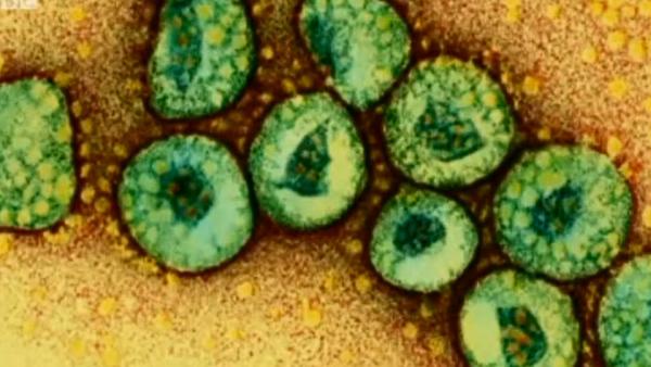 เอเชียผวา ไวรัสคล้าย SARS ระบาดในเกาหลีใต้ เริ่มลามไปจีนแล้ว