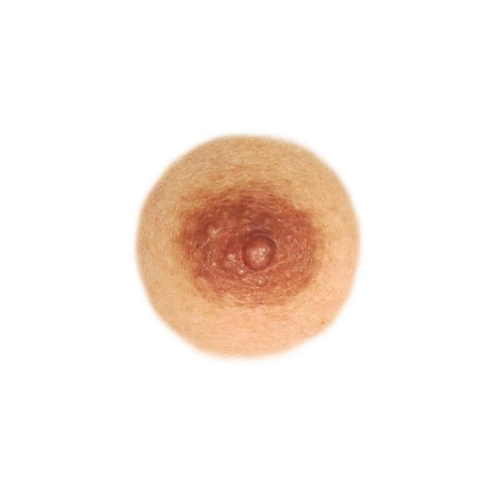 #freethenipple เทรนด์สาวเปลือยอกกับหัวนมตัดแปะ