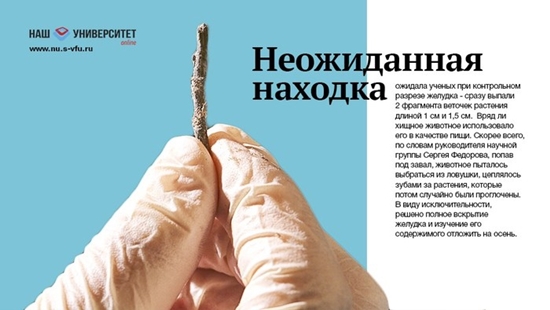 ตะลึง นี่คือมัมมี่สุนัขสภาพสมบูรณ์เก่าแก่ที่สุดในโลก อายุ 12,450 ปี !!!