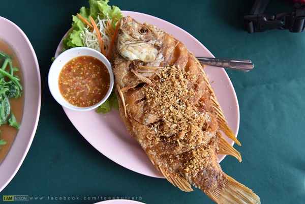 บงเปียงสู่แม่กำปอง