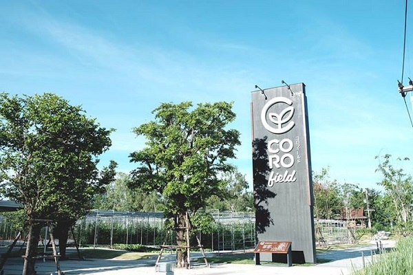 CORO Field ฟาร์มสไตล์ญี่ปุ่น