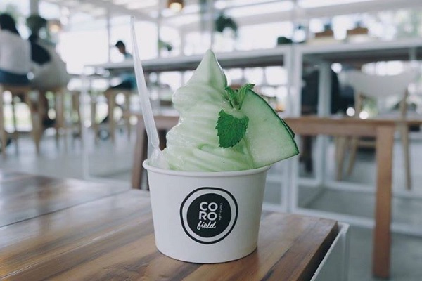 CORO Field ฟาร์มสไตล์ญี่ปุ่น