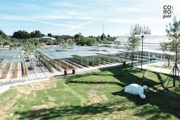 CORO Field ฟาร์มสไตล์ญี่ปุ่น