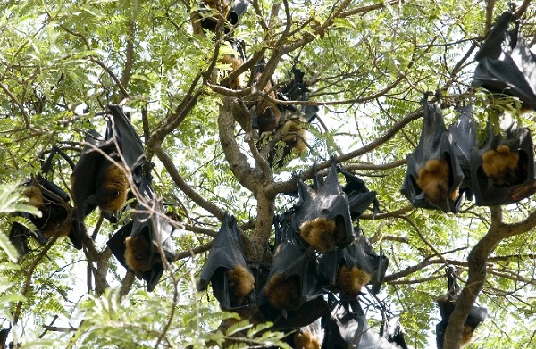 เที่ยววันพ่อ