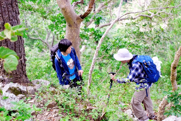 ดอยหลวงตาก