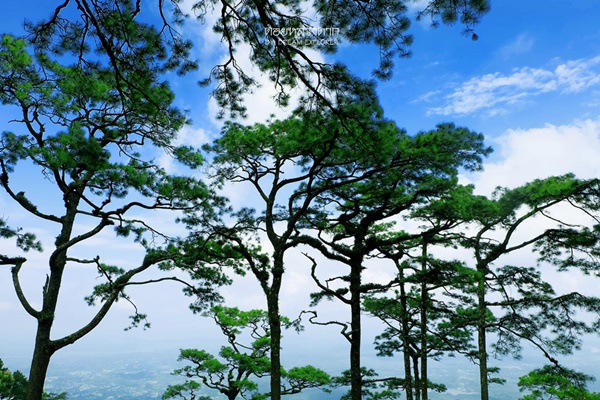 ดอยหลวงตาก