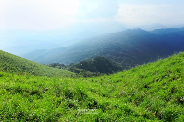 ดอยหลวงตาก