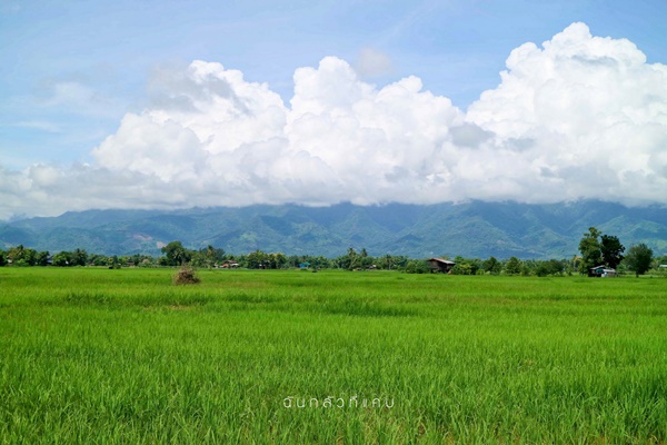เลย