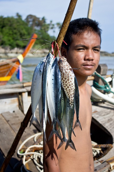 เมืองมะริด