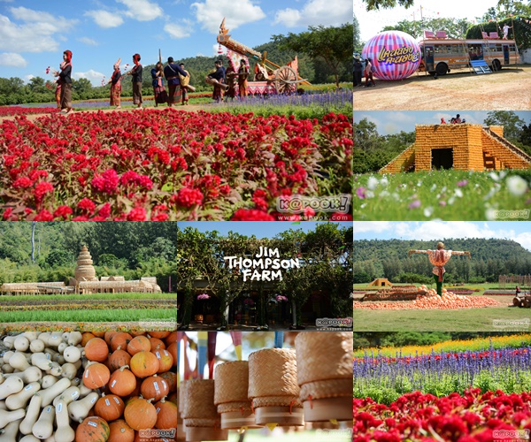 จิม ทอมป์สัน ฟาร์มทัวร์