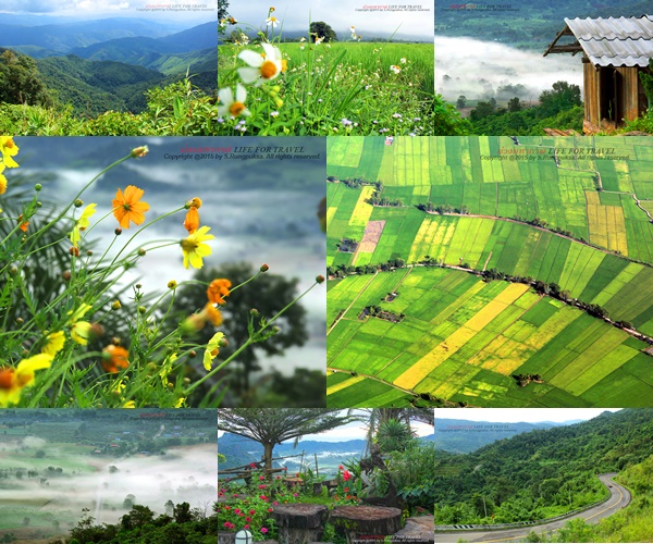 ภูลังกา-ปัว