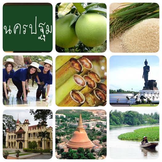 วันส้มโอมณฑลนครชัยศรีฯ