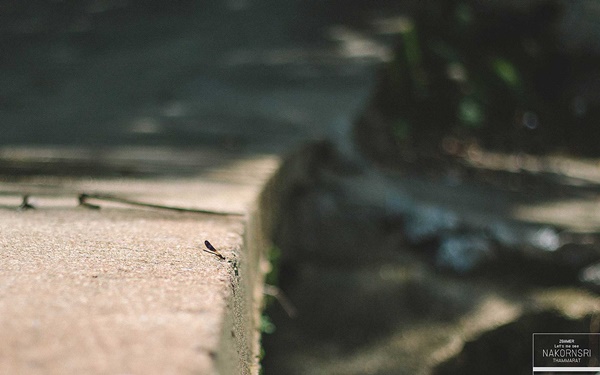 ขึ้นรถไฟไปนครศรีฯ ปล่อยอารมณ์ชิล ๆ ที่คีรีวง