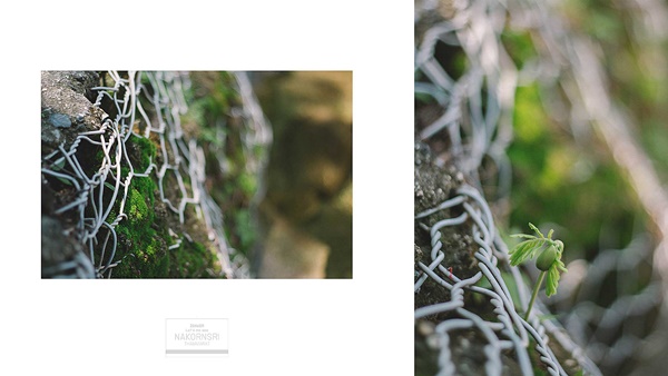 ขึ้นรถไฟไปนครศรีฯ ปล่อยอารมณ์ชิล ๆ ที่คีรีวง