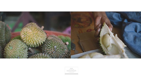 ขึ้นรถไฟไปนครศรีฯ ปล่อยอารมณ์ชิล ๆ ที่คีรีวง