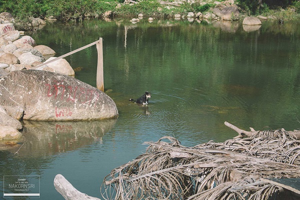 ขึ้นรถไฟไปนครศรีฯ ปล่อยอารมณ์ชิล ๆ ที่คีรีวง