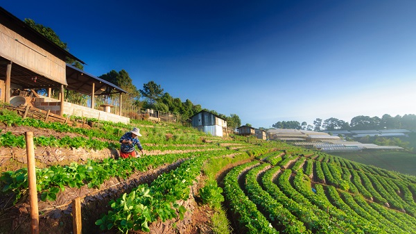 ที่เที่ยวปีใหม่ 2015