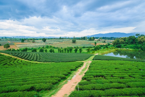 ที่เที่ยวปีใหม่ 2015