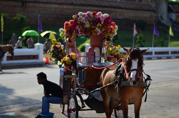 ตะลุยเชียงใหม่-ลำปาง