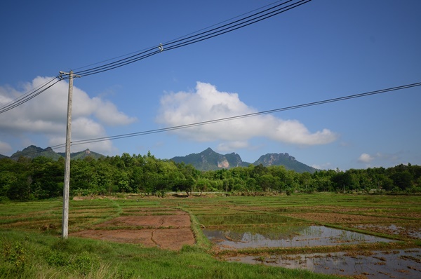 ตะลุยเชียงใหม่-ลำปาง