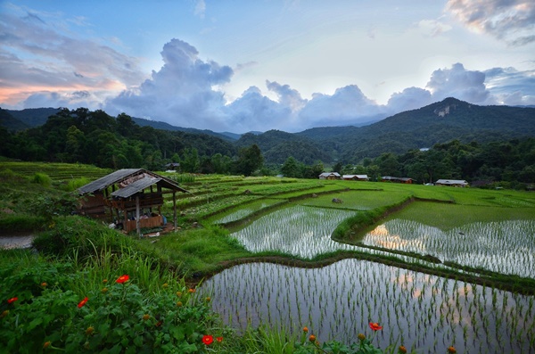 ตะลุยเชียงใหม่-ลำปาง