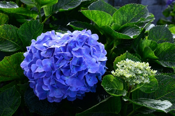 ตะลุยเชียงใหม่-ลำปาง