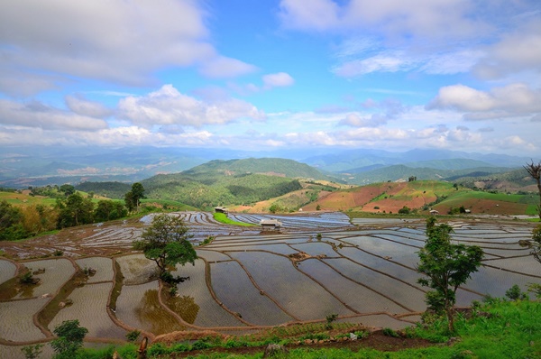 ตะลุยเชียงใหม่-ลำปาง