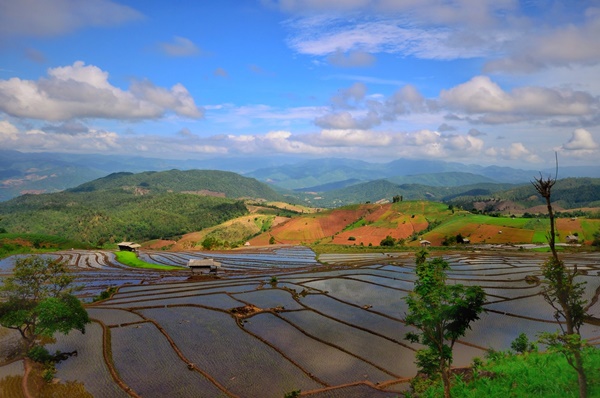 ตะลุยเชียงใหม่-ลำปาง