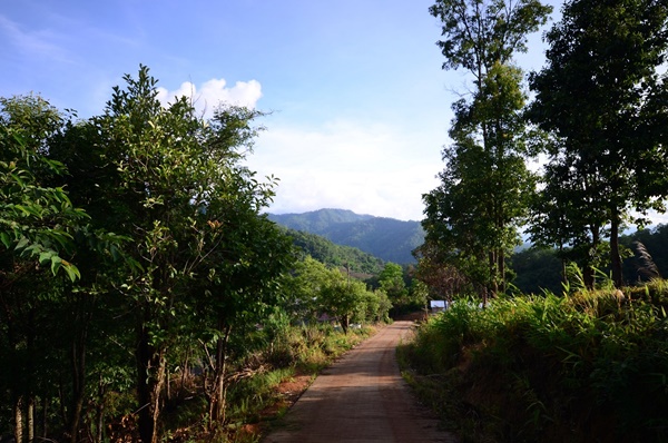 ตะลุยเชียงใหม่-ลำปาง