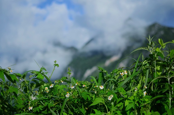 ตะลุยเชียงใหม่-ลำปาง