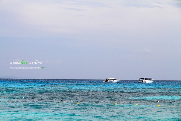 เกาะตาชัย