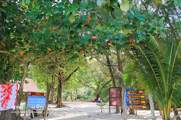 เกาะตาชัย