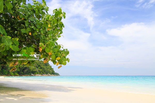 เกาะตาชัย