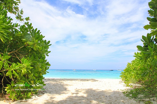 เกาะตาชัย