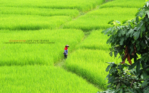 ภูลังกา-ปัว