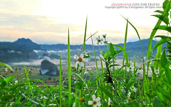 ภูลังกา-ปัว