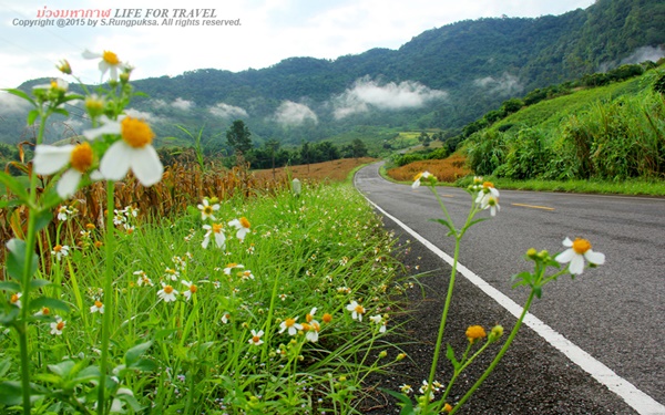 ภูลังกา-ปัว
