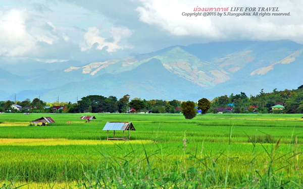 ภูลังกา-ปัว