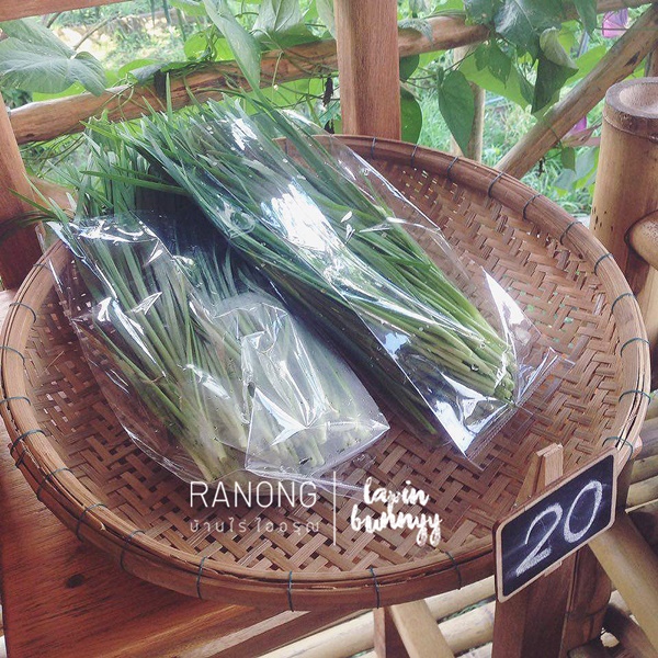 ที่เที่ยวในระนอง