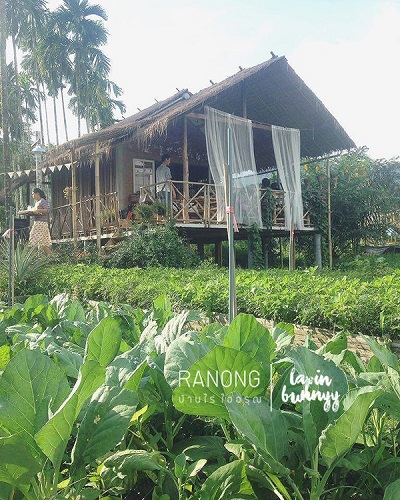 ที่เที่ยวในระนอง